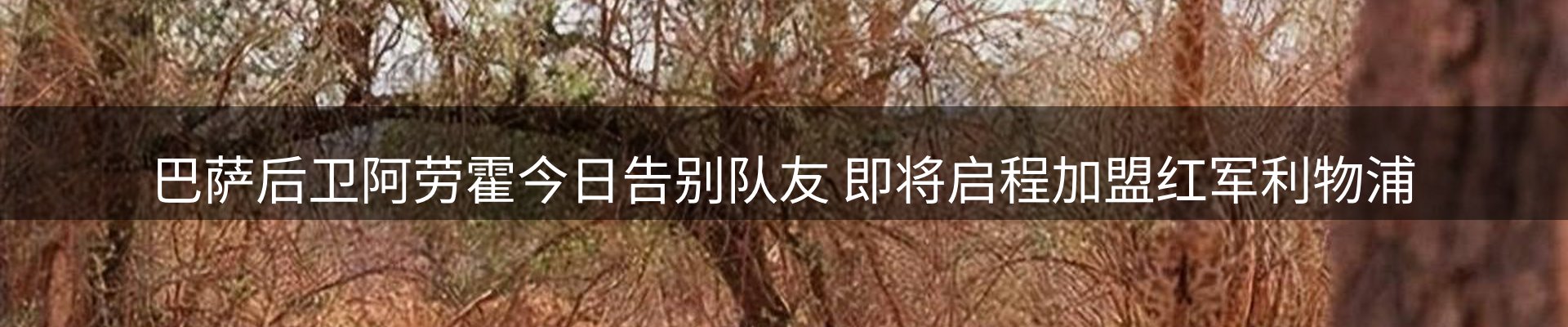 行业资讯
